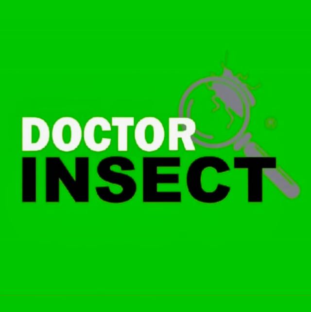 Doctor Insect
