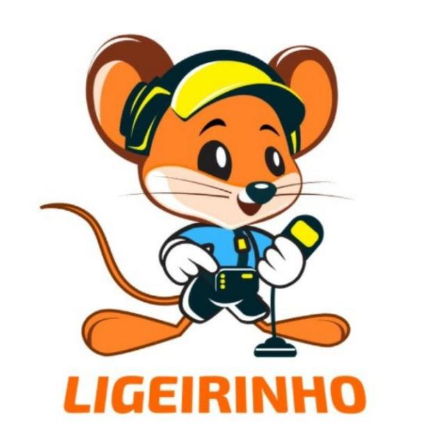 Ligeirinho Caça Vazamentos
