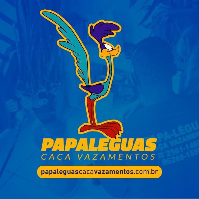 Papaleguas Caça Vazamentos