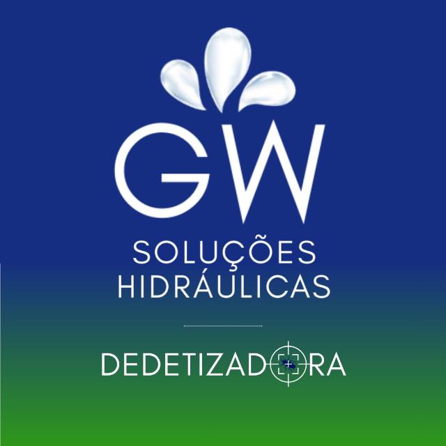 GW Soluções Hidráulicas (Caça Vazamento, Infiltrações, Reparos Hidráulicos, D...