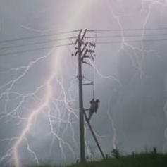 Dayan Eletricista