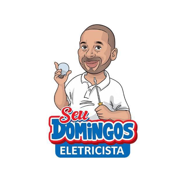 Seu Domingos Eletricista