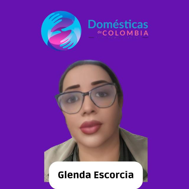 Domésticas del Norte Servicio Doméstico