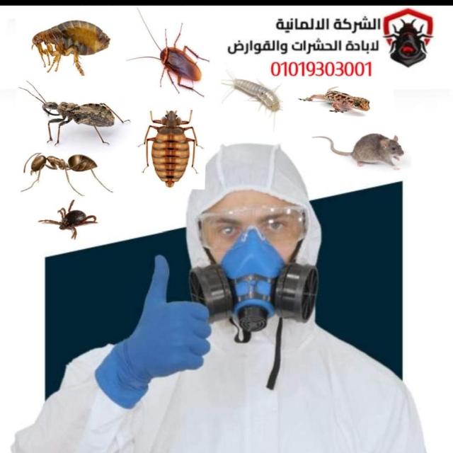 الشركه الالمانيه لاباده الحشرات و القوارض