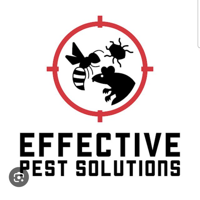 Effective Pest Solutions