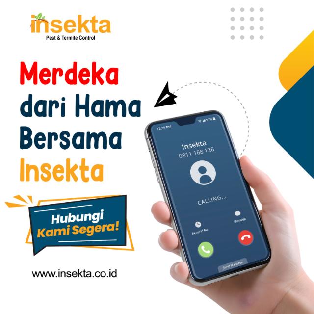 Insekta Pest Control Makassar