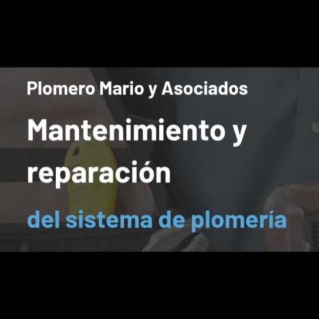 Plomero Mario