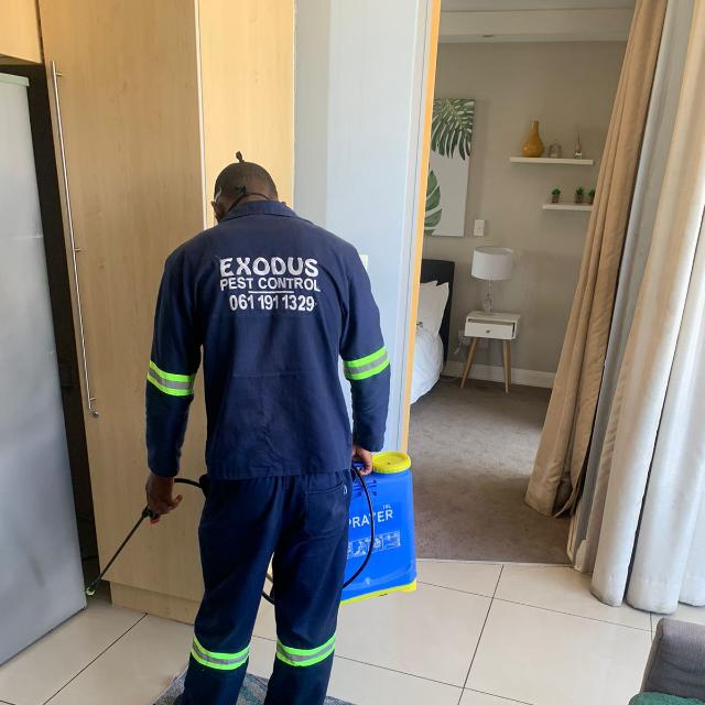 EXODUS PEST CONTROL & FURNITURE REMOVALS.